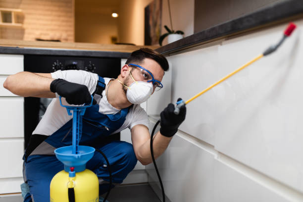 Best Best Pest Control Companies  in Natchitoches, LA