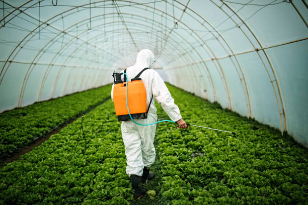 Best Best Pest Control Companies  in Natchitoches, LA