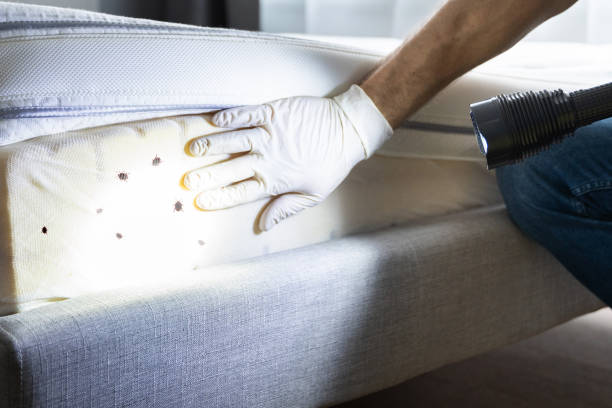Best Pest Control Cost  in Natchitoches, LA