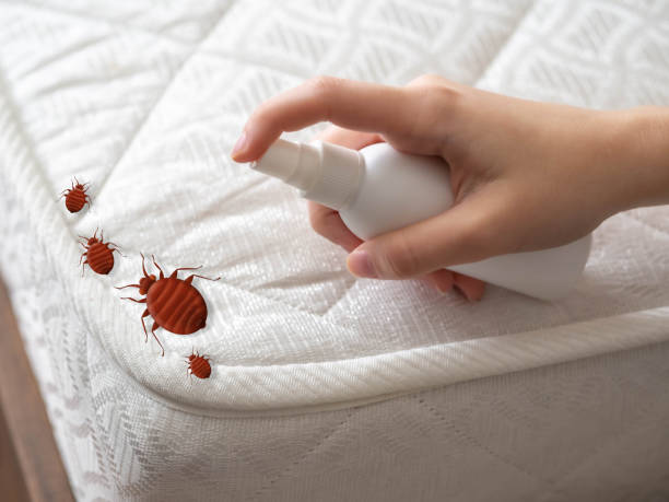 Best Affordable Pest Control Services  in Natchitoches, LA