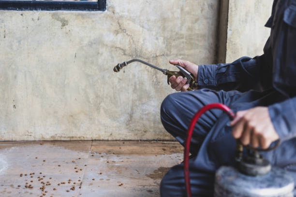  Natchitoches, LA Pest Control Pros